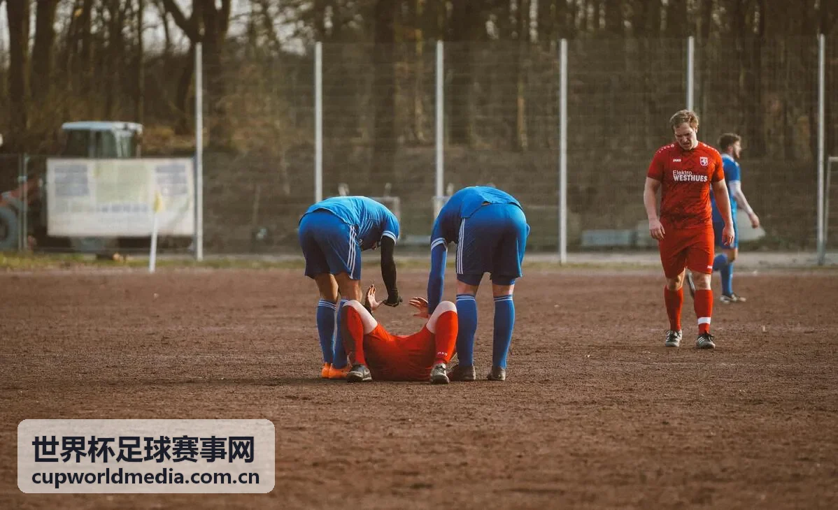 世界杯足球赛事网赛程：葡萄牙对阵荷兰